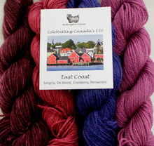 Load image into Gallery viewer, Celebrating Canada's 150 Yarn Colour Sampler