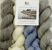 Load image into Gallery viewer, Celebrating Canada's 150 Yarn Colour Sampler