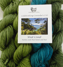 Load image into Gallery viewer, Celebrating Canada's 150 Yarn Colour Sampler