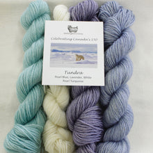 Load image into Gallery viewer, Celebrating Canada's 150 Yarn Colour Sampler