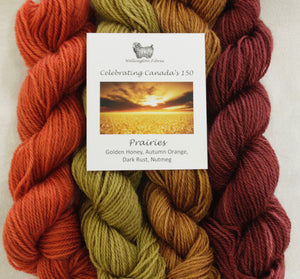 Celebrating Canada's 150 Yarn Colour Sampler