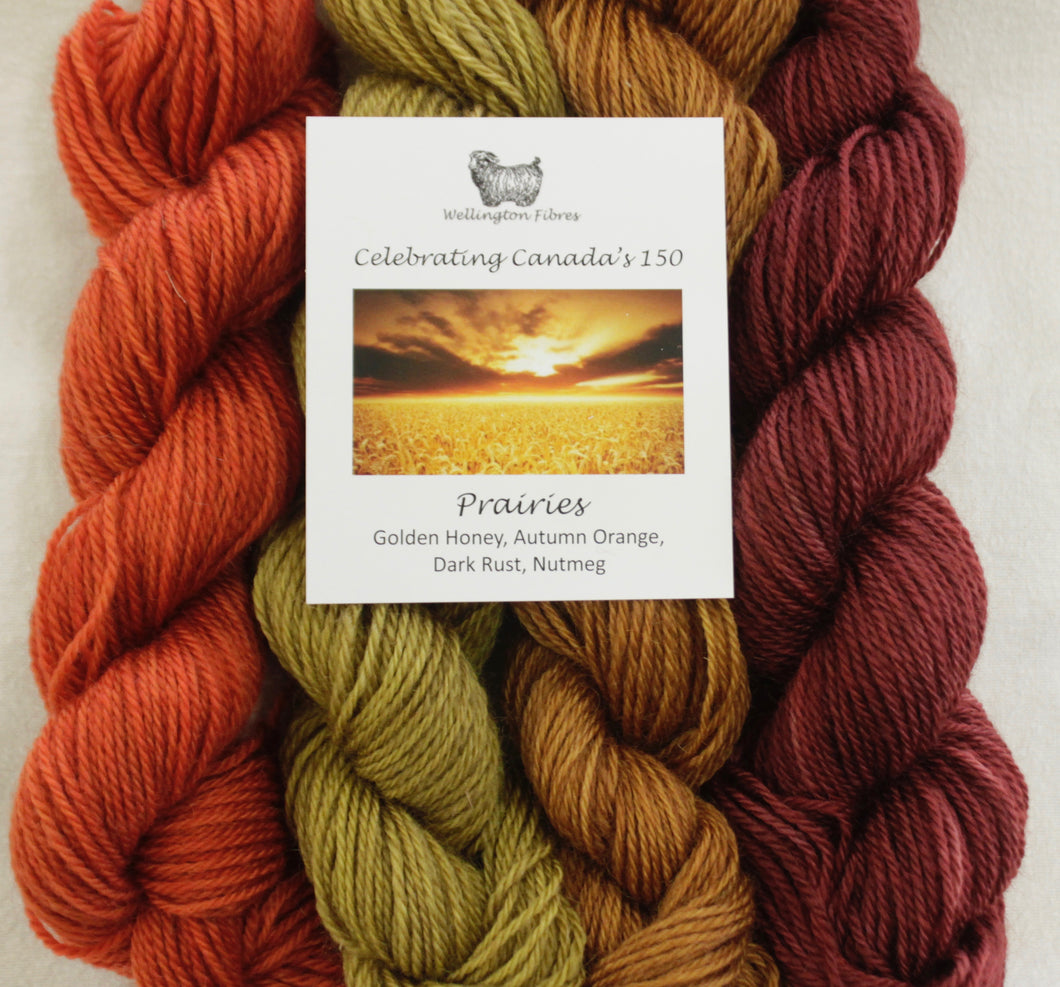 Celebrating Canada's 150 Yarn Colour Sampler